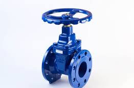 Gate Valve