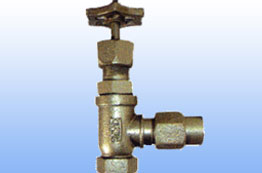 Short Body Gauge and Root Valves